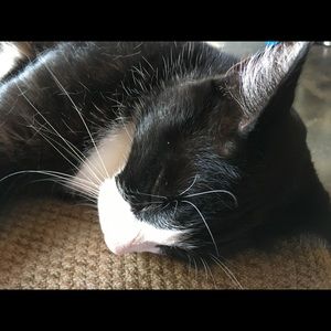 Meet your Posher, Brigitte